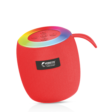 Portable Speaker