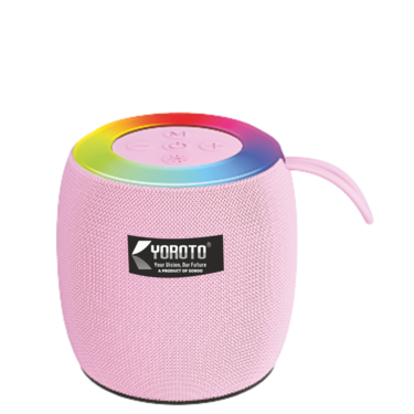 Portable Speaker