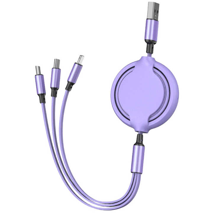 Multi-Tip Charging Cable